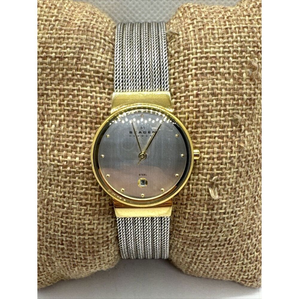Skagen 355SGSS Women Silver Stainless Steel Mesh Analog Dial Wrist Watch JNA886